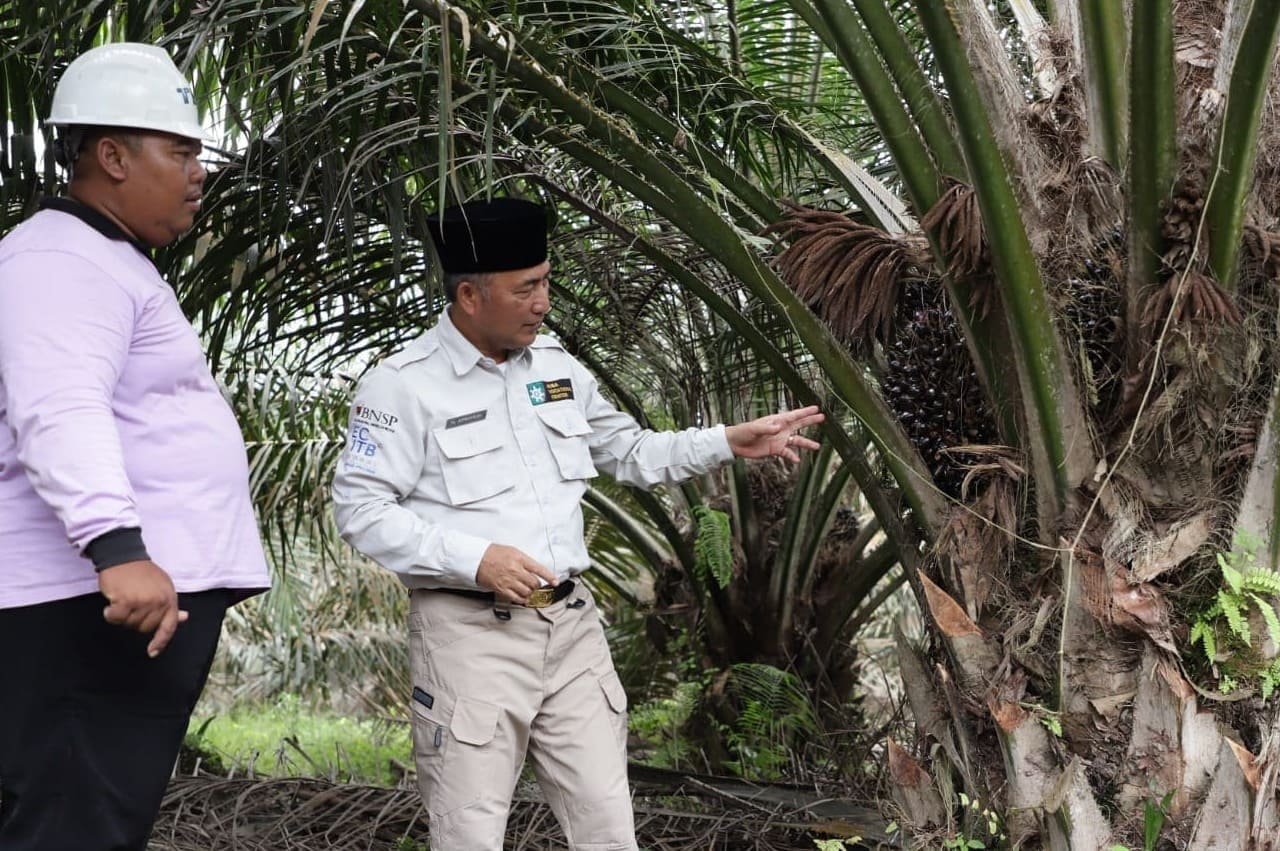 Pj Bupati Muba Apriyadi Mahmud