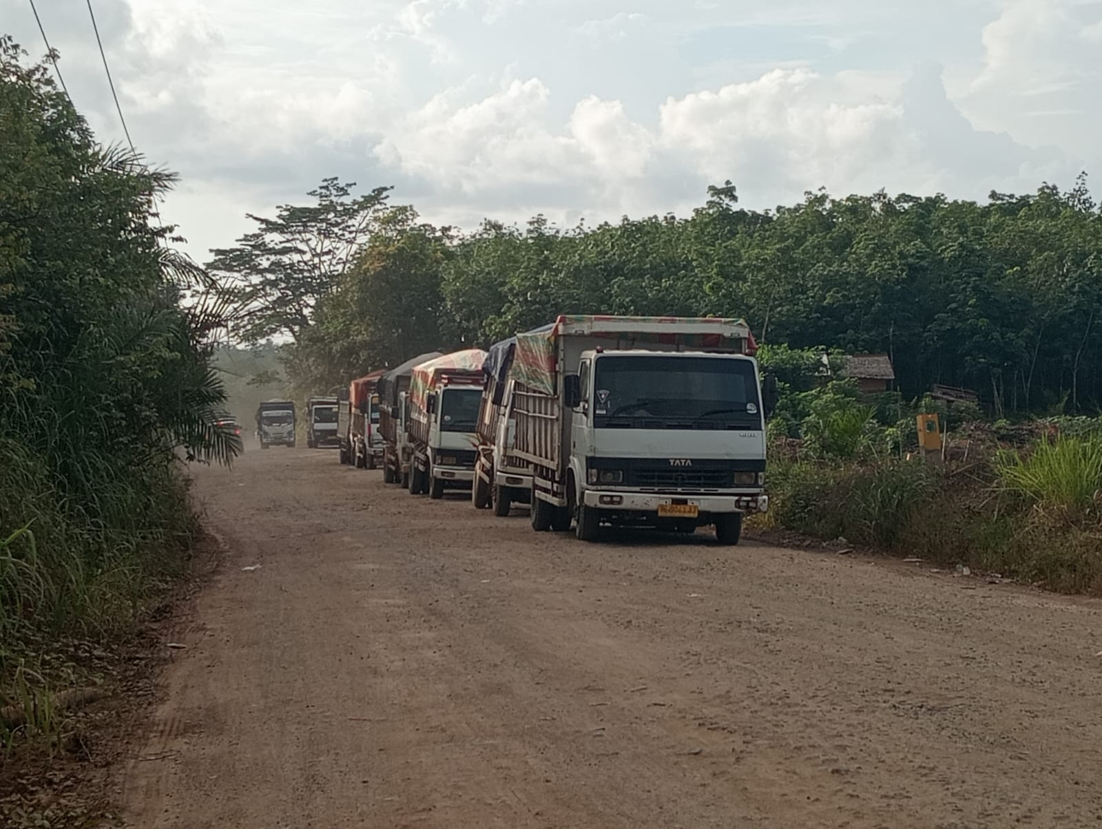 Truk Angkutan Batubara