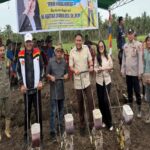 Ketua DPRD Abdul Rais Salurkan Bantuan Bibit Jagung Hibrida Ke Masyarakat Rejosari Bantuan Aspirasi Benih Jagung Hibrida