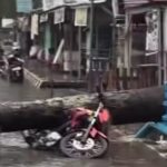 Pohon Tumbang Menimpa Motor