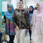 Wabup Banyuasin Netta Indian Tour Hospital