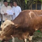 Ketua DPRD Prov. Sumsel Pimpin Pembagian Kurban