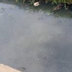 Aliran Anak Sungai Tercemar Limbah Pabrik Tahu