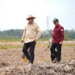 Bupati Banyuasin Tinjau Pengerjaan Cetak Sawah